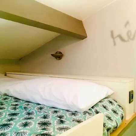 فيلة Bellevue مينتون