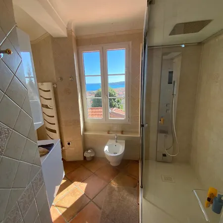 فيلة Bellevue مينتون